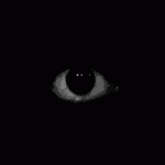 Avatar for Diedara89